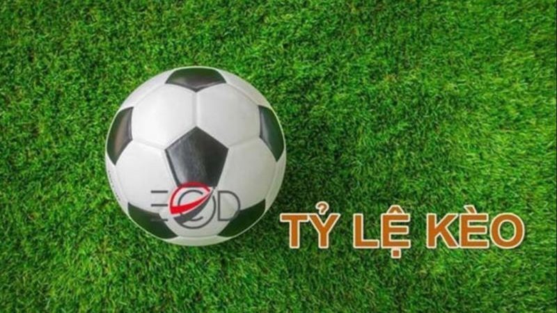 Tỷ lệ kèo trong soi kèo bóng đá được hiểu như thế nào?
